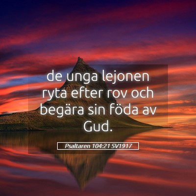 Picture 05 - Psaltaren 104:21 SV1917 - de unga lejonen ryta efter rov och begära sin - Bible Verse Picture