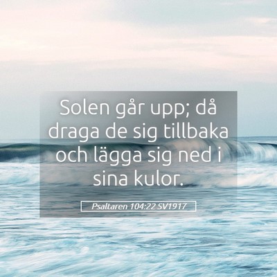 Picture 05 - Psaltaren 104:22 SV1917 - Solen går upp; då draga de sig tillbaka och - Bible Verse Picture
