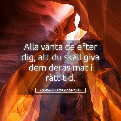 Picture 05 - Psaltaren 104:27 SV1917 - Alla vänta de efter dig, att du skall giva dem - Bible Verse Picture