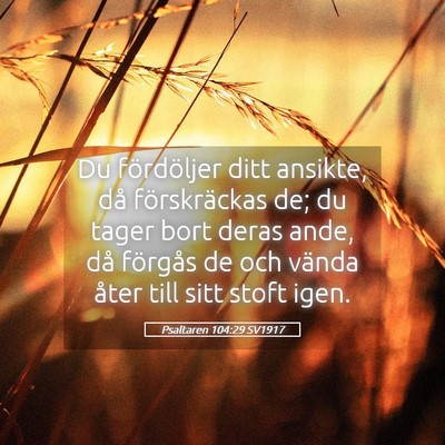 Picture 05 - Psaltaren 104:29 SV1917 - Du fördöljer ditt ansikte, då förskräckas - Bible Verse Picture