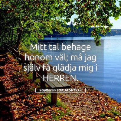 Picture 05 - Psaltaren 104:34 SV1917 - Mitt tal behage honom väl; må jag själv få - Bible Verse Picture