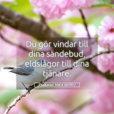 Picture 05 - Psaltaren 104:4 SV1917 - Du gör vindar till dina sändebud, eldslågor - Bible Verse Picture
