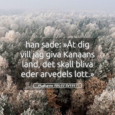Picture 05 - Psaltaren 105:11 SV1917 - han sade: »Åt dig vill jag giva Kanaans land, - Bible Verse Picture