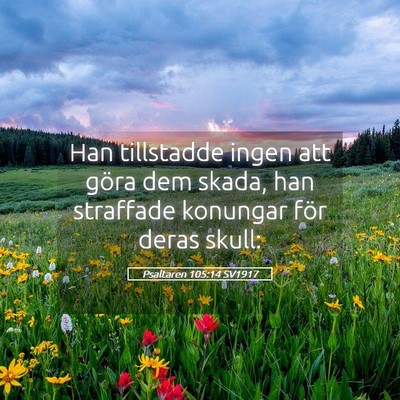 Picture 05 - Psaltaren 105:14 SV1917 - Han tillstadde ingen att göra dem skada, han - Bible Verse Picture