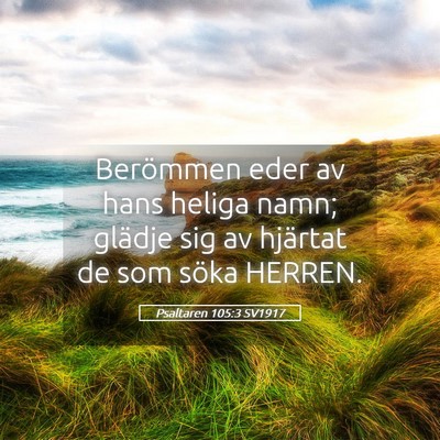 Picture 05 - Psaltaren 105:3 SV1917 - Berömmen eder av hans heliga namn; glädje sig - Bible Verse Picture