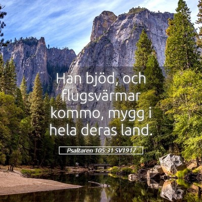 Picture 05 - Psaltaren 105:31 SV1917 - Han bjöd, och flugsvärmar kommo, mygg i hela - Bible Verse Picture