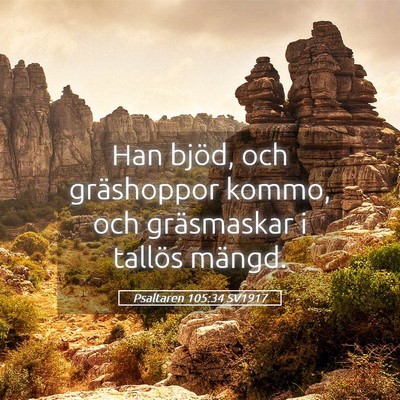 Picture 05 - Psaltaren 105:34 SV1917 - Han bjöd, och gräshoppor kommo, och gräsmaskar - Bible Verse Picture