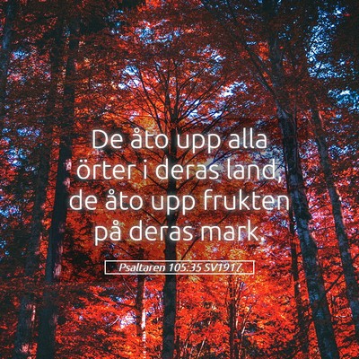 Picture 05 - Psaltaren 105:35 SV1917 - De åto upp alla örter i deras land, de åto upp - Bible Verse Picture