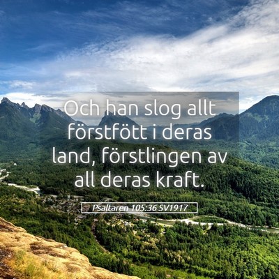 Picture 05 - Psaltaren 105:36 SV1917 - Och han slog allt förstfött i deras land, - Bible Verse Picture