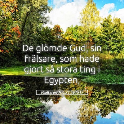Picture 05 - Psaltaren 106:21 SV1917 - De glömde Gud, sin frälsare, som hade gjort så - Bible Verse Picture