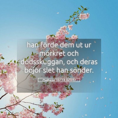 Picture 05 - Psaltaren 107:14 SV1917 - han förde dem ut ur mörkret och dödsskuggan, - Bible Verse Picture