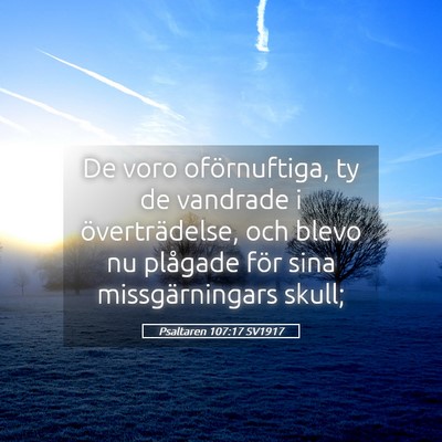 Picture 05 - Psaltaren 107:17 SV1917 - De voro oförnuftiga, ty de vandrade i - Bible Verse Picture