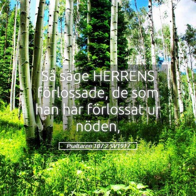 Picture 05 - Psaltaren 107:2 SV1917 - Så säge HERRENS förlossade, de som han har - Bible Verse Picture