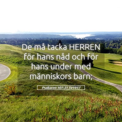 Picture 05 - Psaltaren 107:31 SV1917 - De må tacka HERREN för hans nåd och för hans - Bible Verse Picture