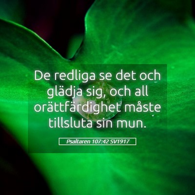 Picture 05 - Psaltaren 107:42 SV1917 - De redliga se det och glädja sig, och all - Bible Verse Picture