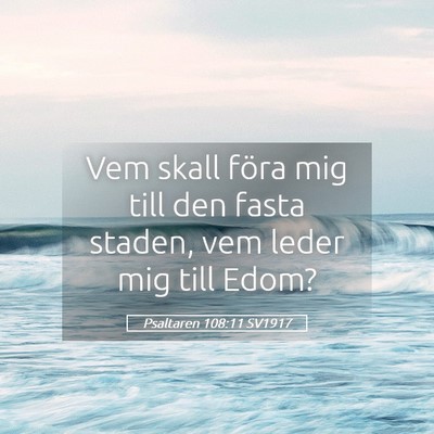 Picture 05 - Psaltaren 108:11 SV1917 - Vem skall föra mig till den fasta staden, vem - Bible Verse Picture