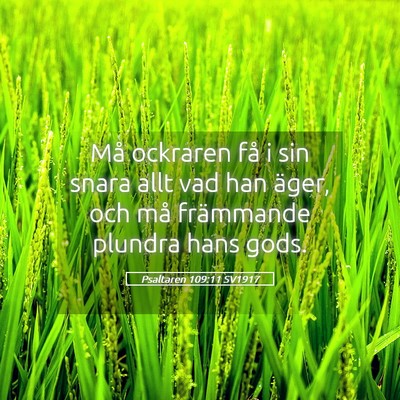 Picture 05 - Psaltaren 109:11 SV1917 - Må ockraren få i sin snara allt vad han äger, - Bible Verse Picture