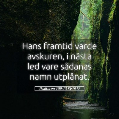 Picture 05 - Psaltaren 109:13 SV1917 - Hans framtid varde avskuren, i nästa led vare - Bible Verse Picture