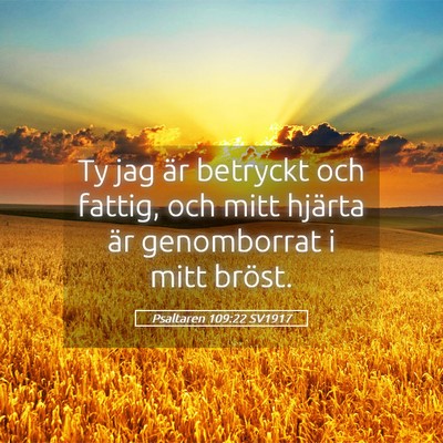 Picture 05 - Psaltaren 109:22 SV1917 - Ty jag är betryckt och fattig, och mitt hjärta - Bible Verse Picture