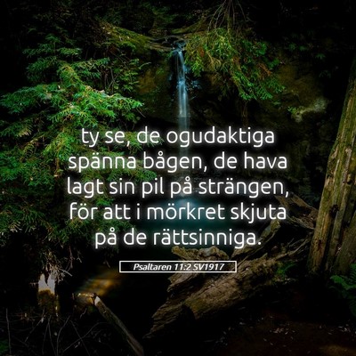 Picture 05 - Psaltaren 11:2 SV1917 - ty se, de ogudaktiga spänna bågen, de hava lagt - Bible Verse Picture