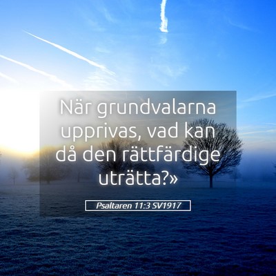Picture 05 - Psaltaren 11:3 SV1917 - När grundvalarna upprivas, vad kan då den - Bible Verse Picture