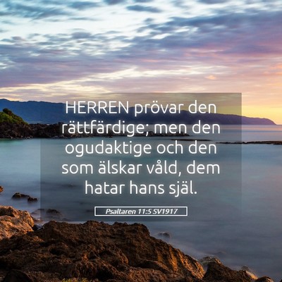 Picture 05 - Psaltaren 11:5 SV1917 - HERREN prövar den rättfärdige; men den - Bible Verse Picture