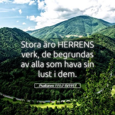 Picture 05 - Psaltaren 111:2 SV1917 - Stora äro HERRENS verk, de begrundas av alla som - Bible Verse Picture