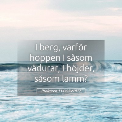 Picture 05 - Psaltaren 114:6 SV1917 - I berg, varför hoppen I såsom vädurar, I - Bible Verse Picture