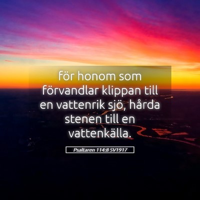 Picture 05 - Psaltaren 114:8 SV1917 - för honom som förvandlar klippan till en - Bible Verse Picture