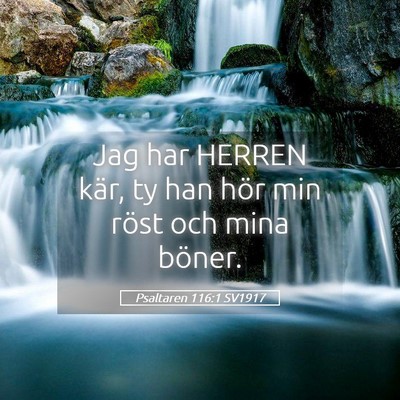 Picture 05 - Psaltaren 116:1 SV1917 - Jag har HERREN kär, ty han hör min röst och - Bible Verse Picture