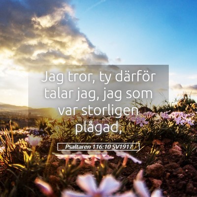 Picture 05 - Psaltaren 116:10 SV1917 - Jag tror, ty därför talar jag, jag som var - Bible Verse Picture