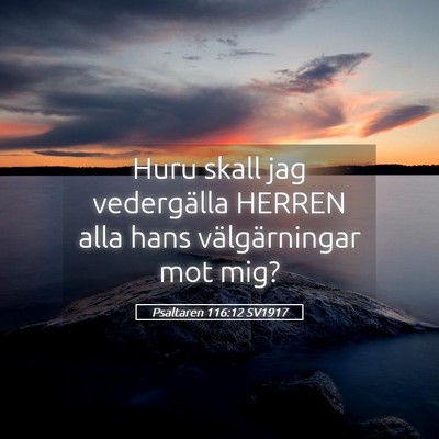 Picture 05 - Psaltaren 116:12 SV1917 - Huru skall jag vedergälla HERREN alla hans - Bible Verse Picture