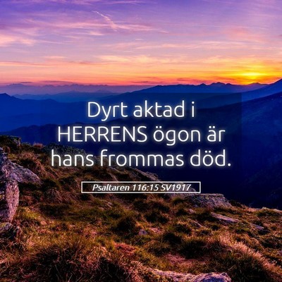 Picture 05 - Psaltaren 116:15 SV1917 - Dyrt aktad i HERRENS ögon är hans frommas - Bible Verse Picture