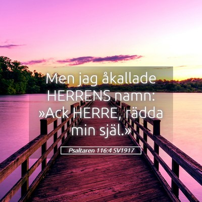 Picture 05 - Psaltaren 116:4 SV1917 - Men jag åkallade HERRENS namn: »Ack HERRE, - Bible Verse Picture