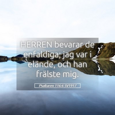 Picture 05 - Psaltaren 116:6 SV1917 - HERREN bevarar de enfaldiga; jag var i elände, - Bible Verse Picture