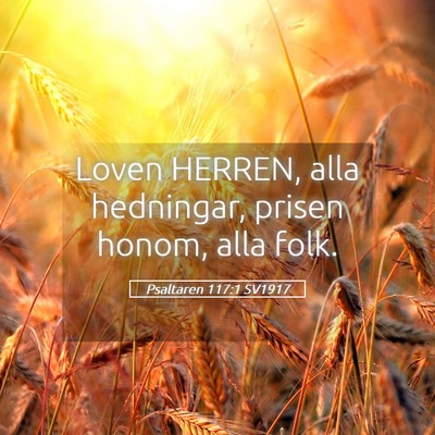 Picture 05 - Psaltaren 117:1 SV1917 - Loven HERREN, alla hedningar, prisen honom, alla - Bible Verse Picture