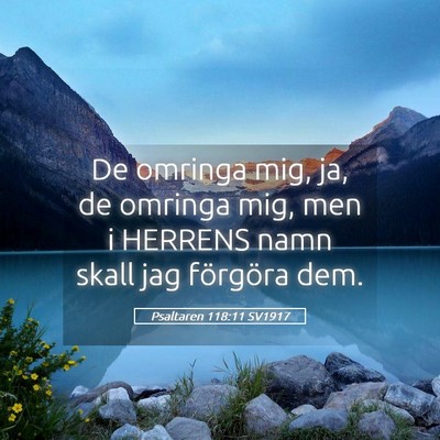 Picture 05 - Psaltaren 118:11 SV1917 - De omringa mig, ja, de omringa mig, men i HERRENS - Bible Verse Picture