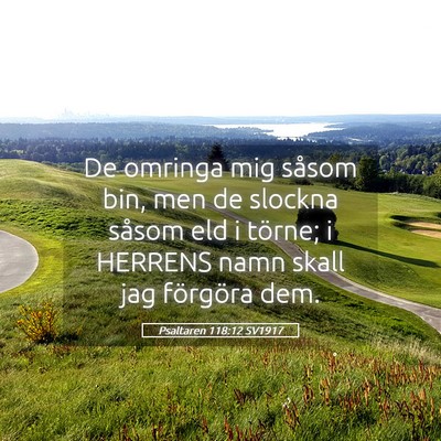 Picture 05 - Psaltaren 118:12 SV1917 - De omringa mig såsom bin, men de slockna såsom - Bible Verse Picture