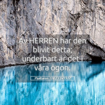 Picture 05 - Psaltaren 118:23 SV1917 - Av HERREN har den blivit detta; underbart är det - Bible Verse Picture