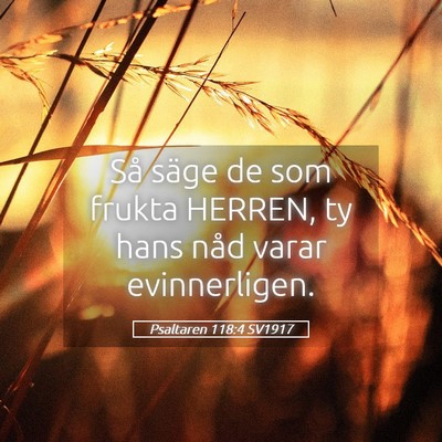 Picture 05 - Psaltaren 118:4 SV1917 - Så säge de som frukta HERREN, ty hans nåd - Bible Verse Picture