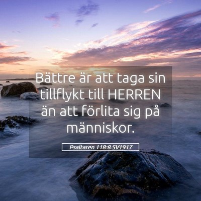 Picture 05 - Psaltaren 118:8 SV1917 - Bättre är att taga sin tillflykt till HERREN - Bible Verse Picture
