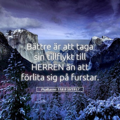 Picture 05 - Psaltaren 118:9 SV1917 - Bättre är att taga sin tillflykt till HERREN - Bible Verse Picture