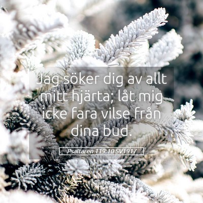 Picture 05 - Psaltaren 119:10 SV1917 - Jag söker dig av allt mitt hjärta; låt mig - Bible Verse Picture
