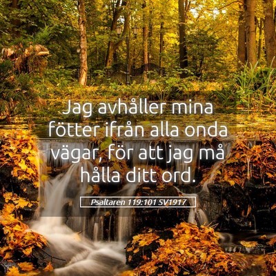Picture 05 - Psaltaren 119:101 SV1917 - Jag avhåller mina fötter ifrån alla onda - Bible Verse Picture