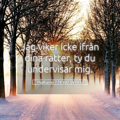 Picture 05 - Psaltaren 119:102 SV1917 - Jag viker icke ifrån dina rätter, ty du - Bible Verse Picture