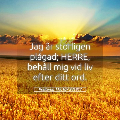 Picture 05 - Psaltaren 119:107 SV1917 - Jag är storligen plågad; HERRE, behåll mig vid - Bible Verse Picture