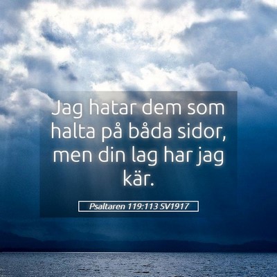 Picture 05 - Psaltaren 119:113 SV1917 - Jag hatar dem som halta på båda sidor, men din - Bible Verse Picture