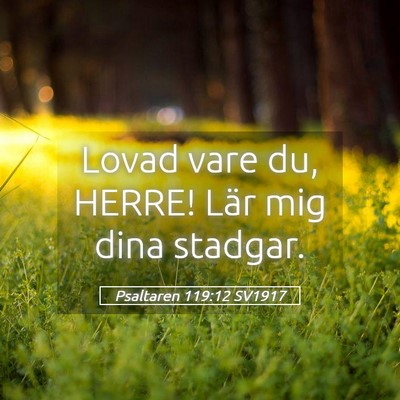 Picture 05 - Psaltaren 119:12 SV1917 - Lovad vare du, HERRE! Lär mig dina - Bible Verse Picture