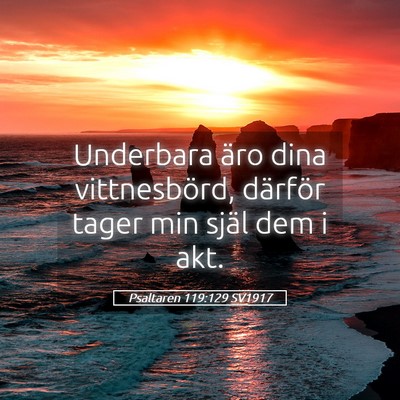 Picture 05 - Psaltaren 119:129 SV1917 - Underbara äro dina vittnesbörd, därför tager - Bible Verse Picture