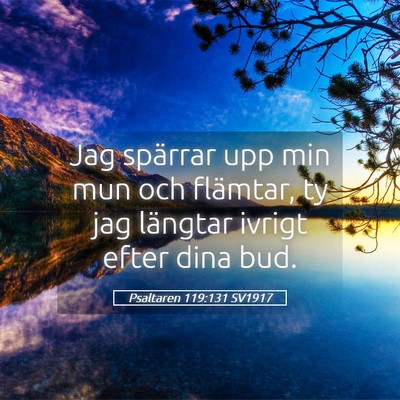Picture 05 - Psaltaren 119:131 SV1917 - Jag spärrar upp min mun och flämtar, ty jag - Bible Verse Picture